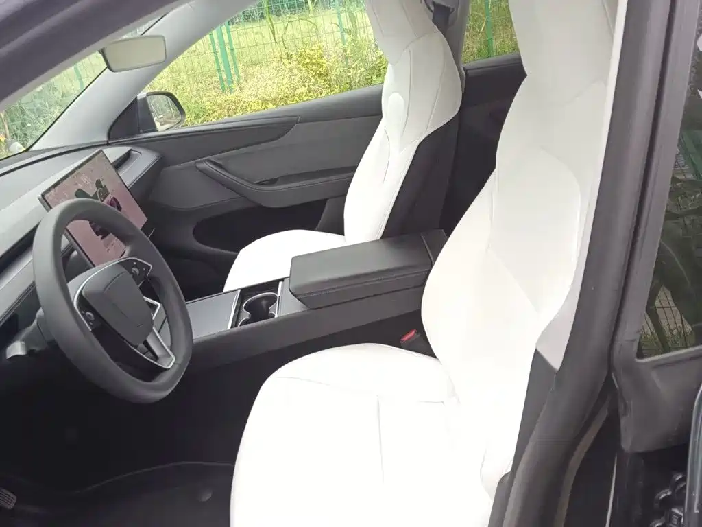Tesla Model Y — миниатюра 11