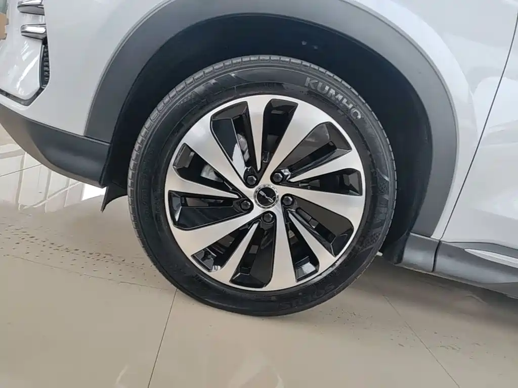 BYD Song Plus DM-i 2023 — фото 22