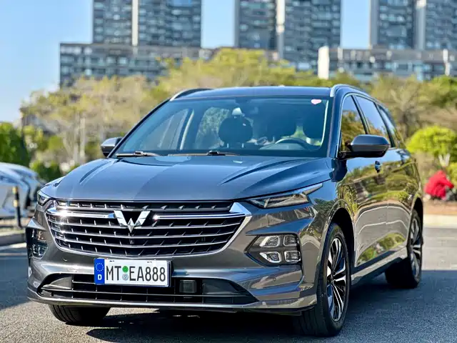 WULING WULING CAPGEMINI