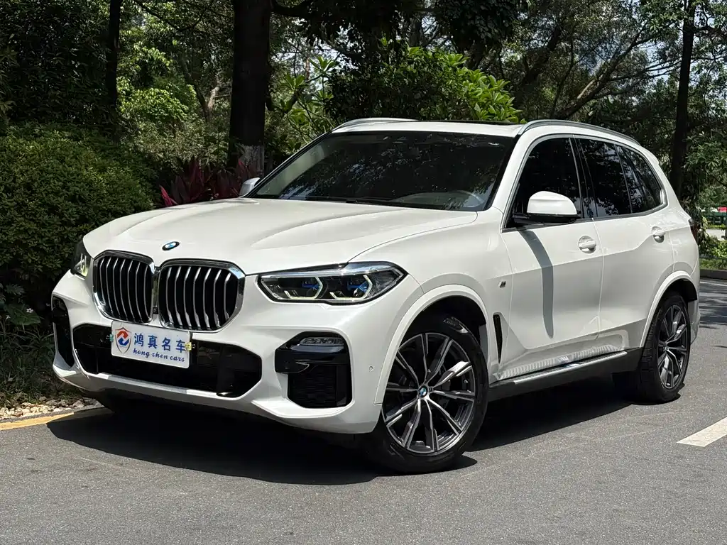 BMW X5 2019 xDrive40i M Sport
