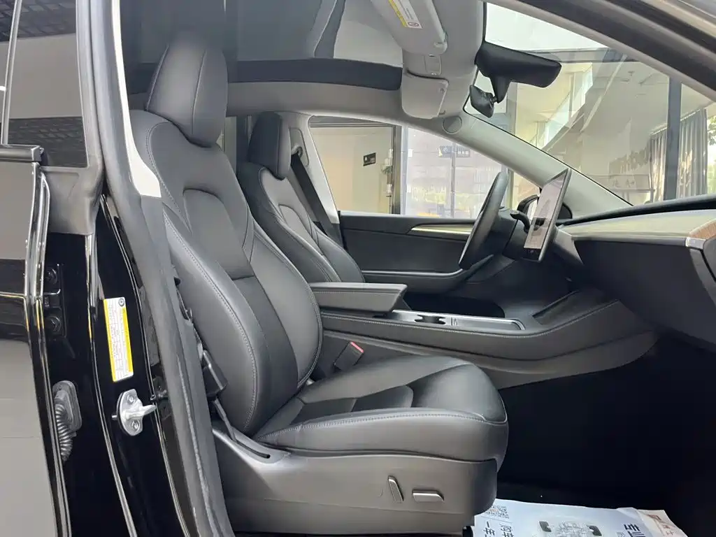 Tesla Model Y — миниатюра 13