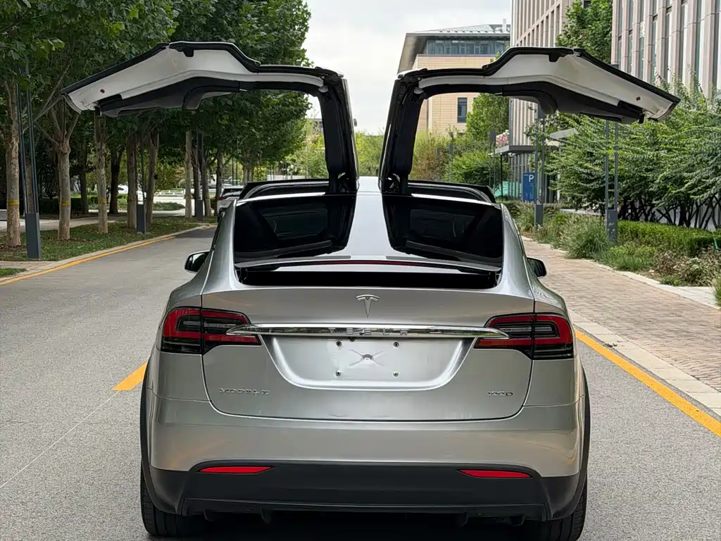 Tesla Model X — миниатюра 18