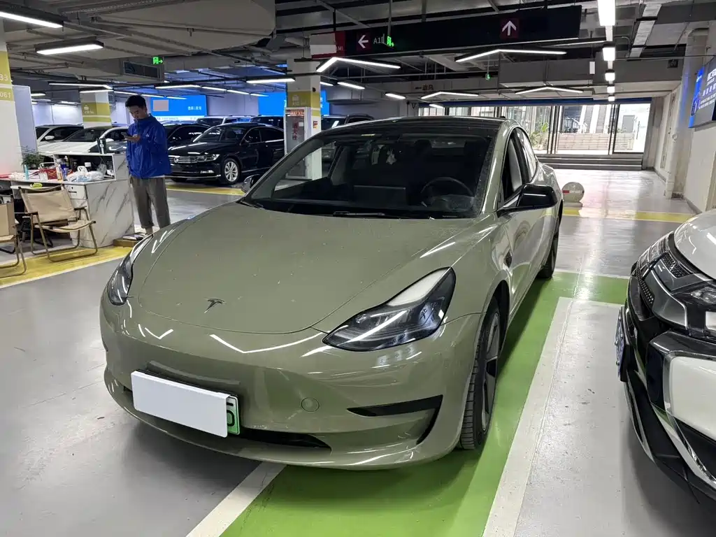 Tesla Model 3 2021