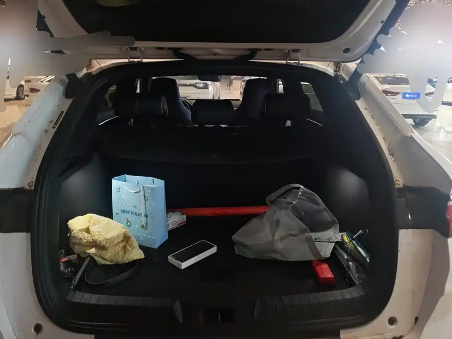 BYD PLUS New Energy — миниатюра 4