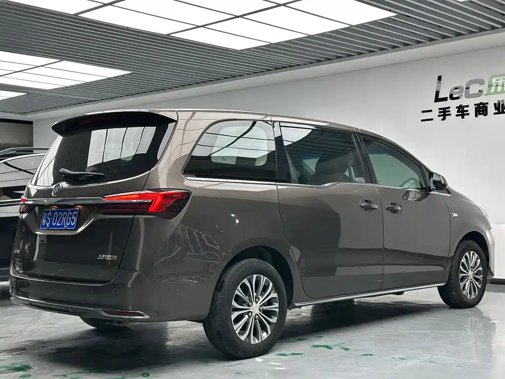 Buick GL8 — миниатюра 14