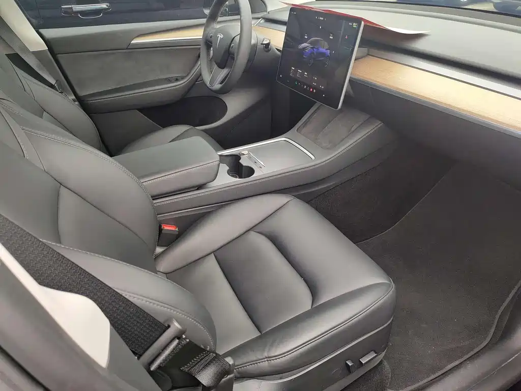 Tesla Model Y — миниатюра 10