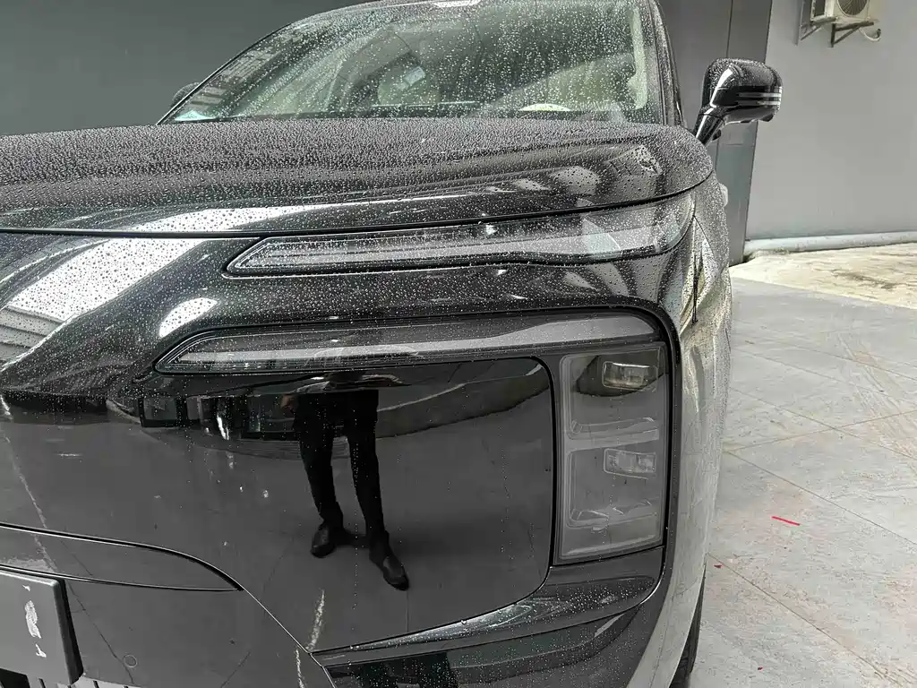 Denza Denza N8L — миниатюра 14
