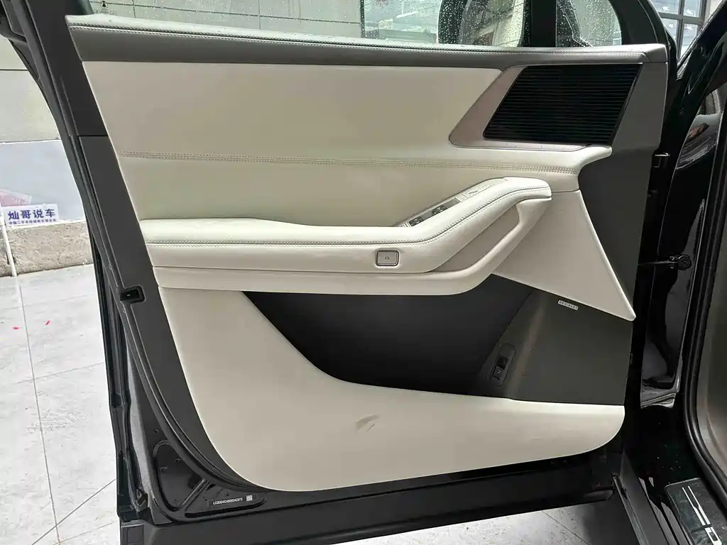 Denza Denza N8L — миниатюра 7