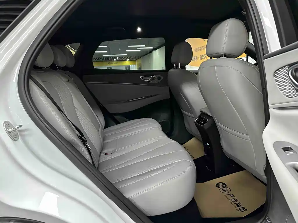 BYD Sealion 06 — миниатюра 11
