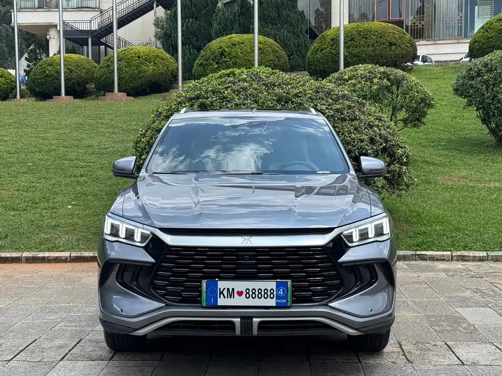 BYD Pro New Energy — миниатюра 2