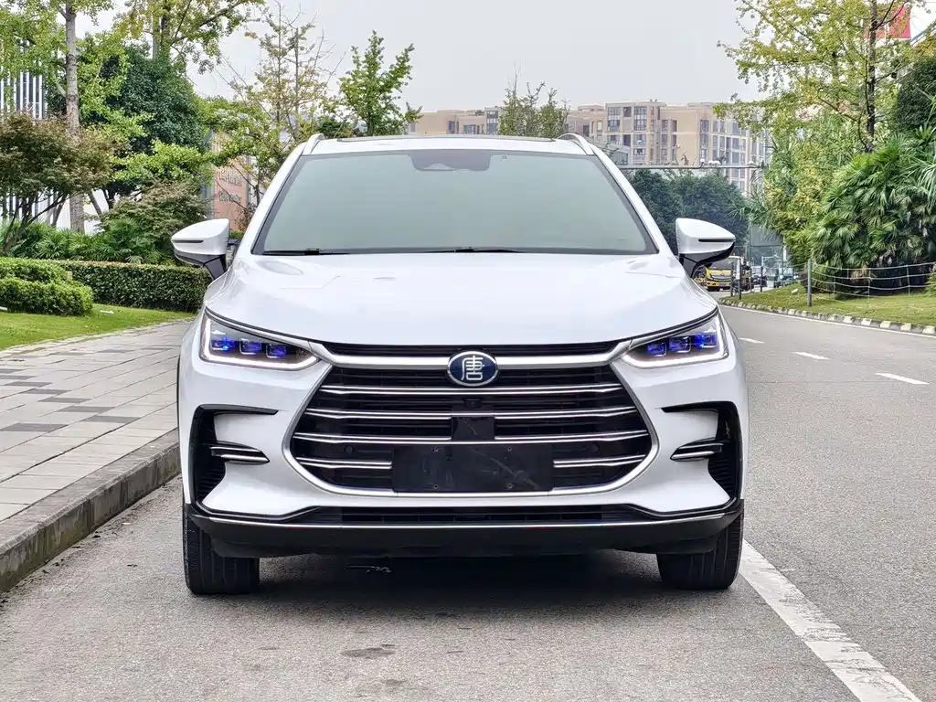 BYD Tang New Energy — миниатюра 2