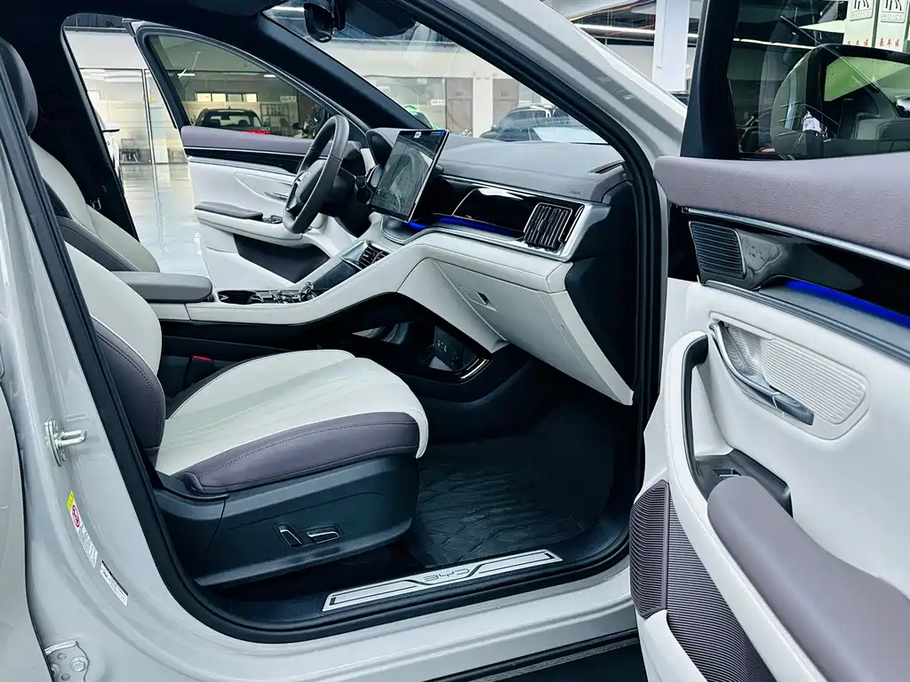 BYD SONGJIANG NEW ENERGY