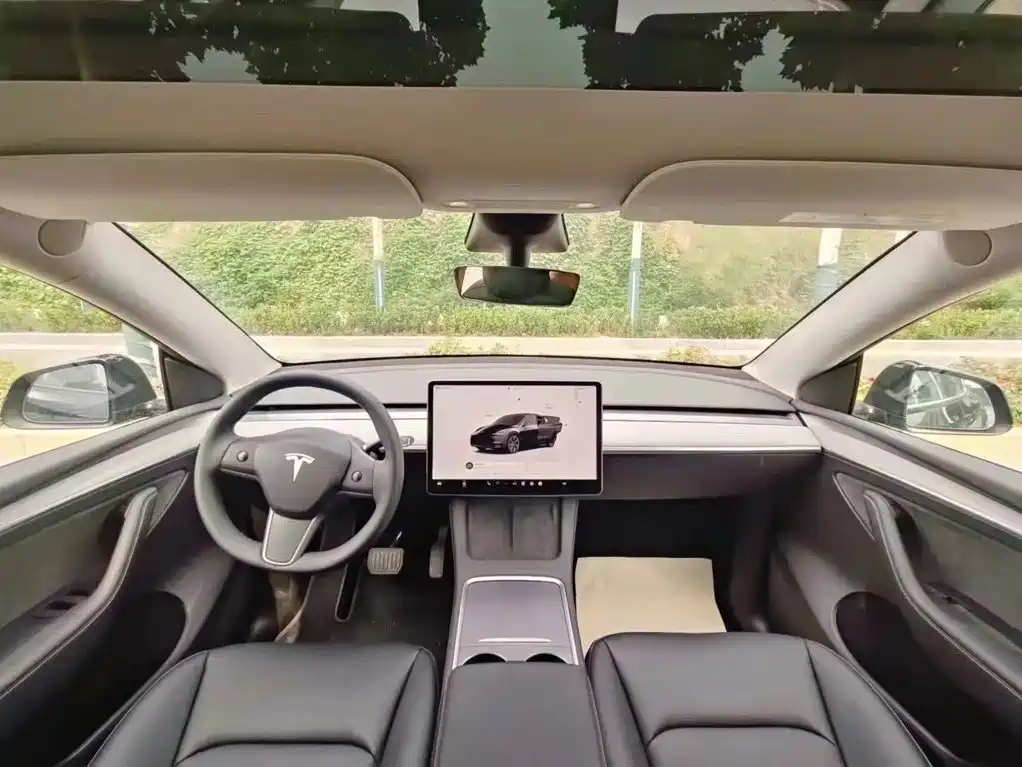 Tesla Model Y — миниатюра 4