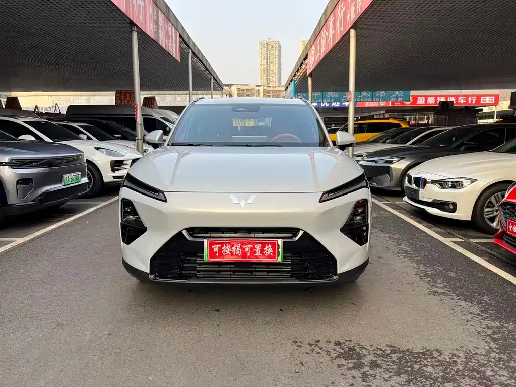 WULING WULING XINGGUANG S