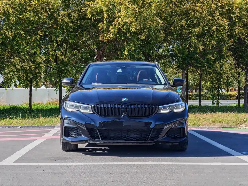 BMW 3 Series — миниатюра 2
