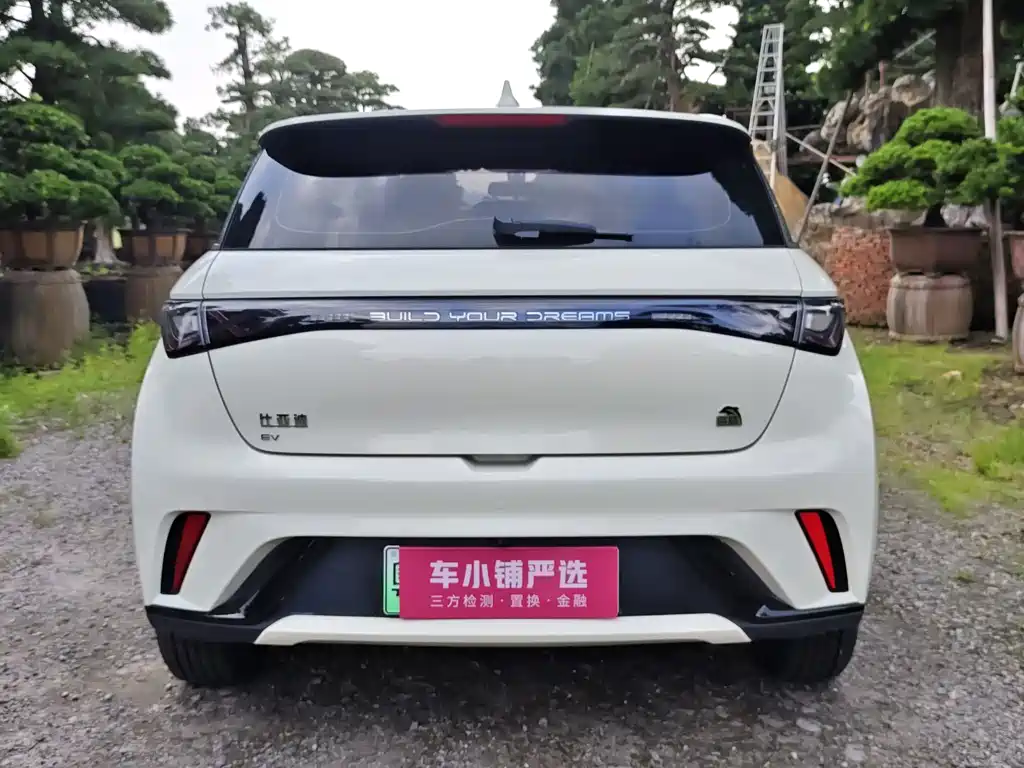 BYD Dolphin — миниатюра 16