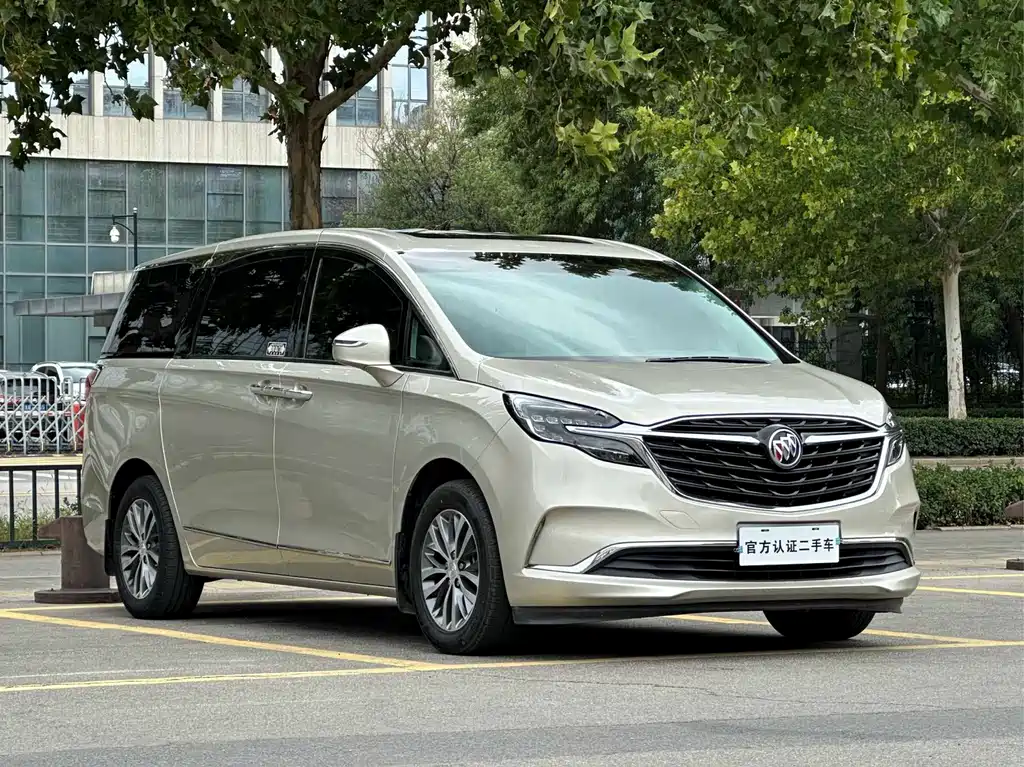 Buick GL8 — миниатюра 5