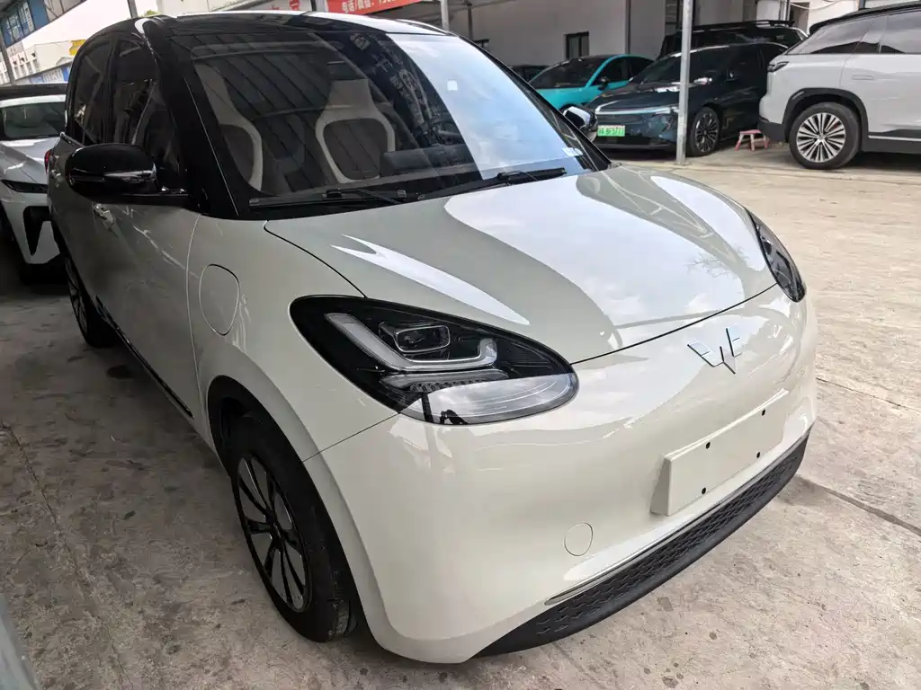 Wuling Binguo 2023 333km Delight