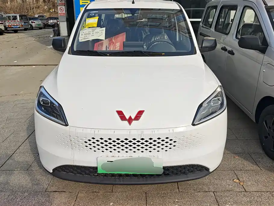 WULING WULING HONGGUANG NEW ENERGY