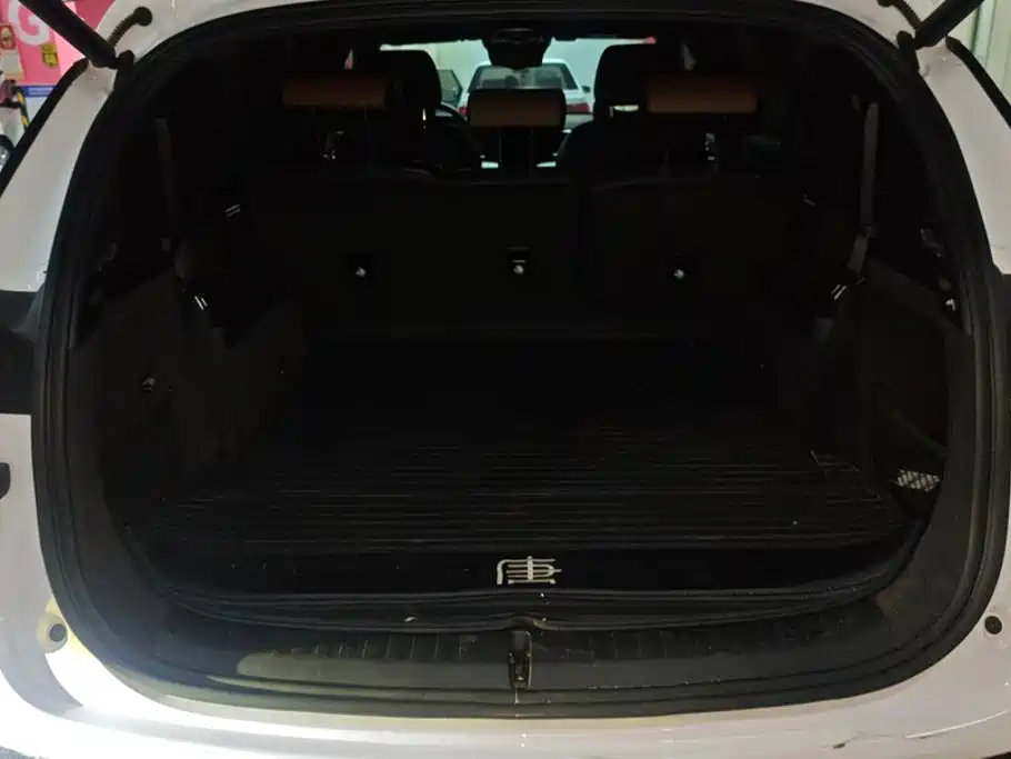 BYD Tang New Energy — миниатюра 4