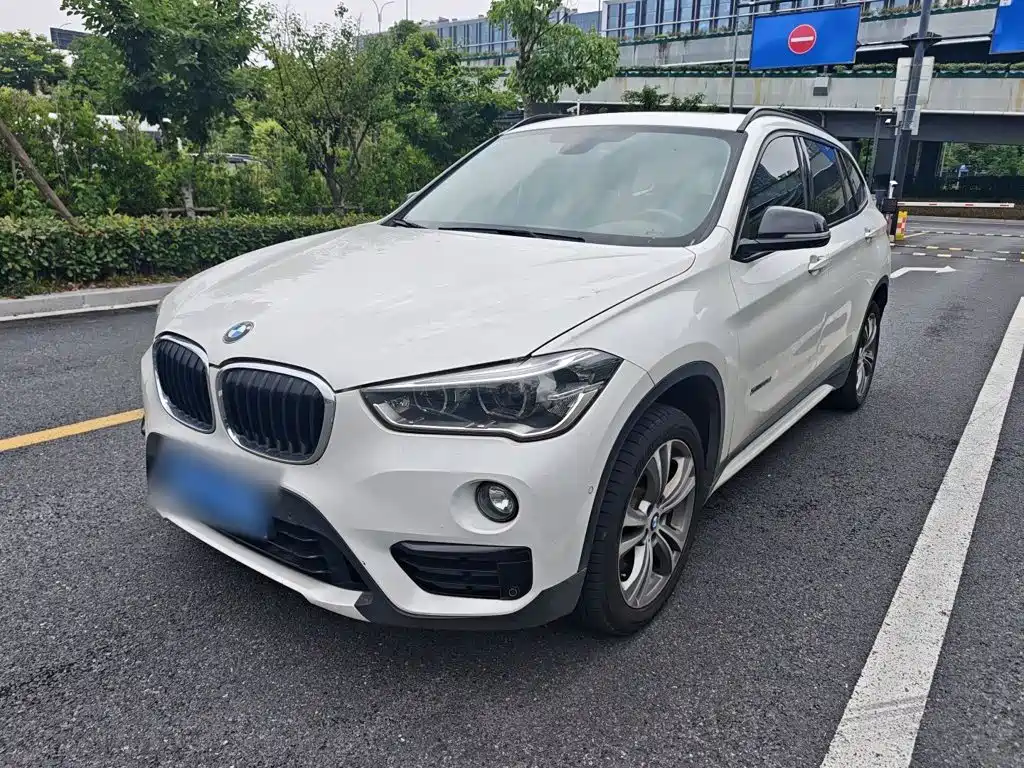 BMW X1 2018 xDrive20Li Luxury Type