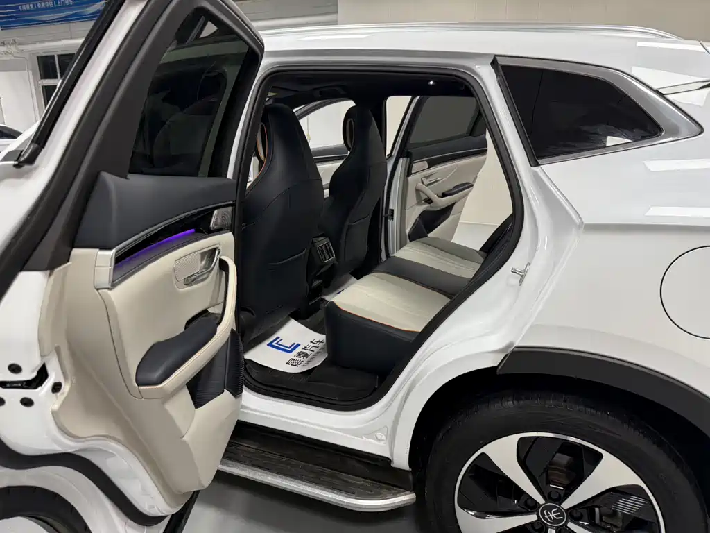 BYD SONGJIANG NEW ENERGY