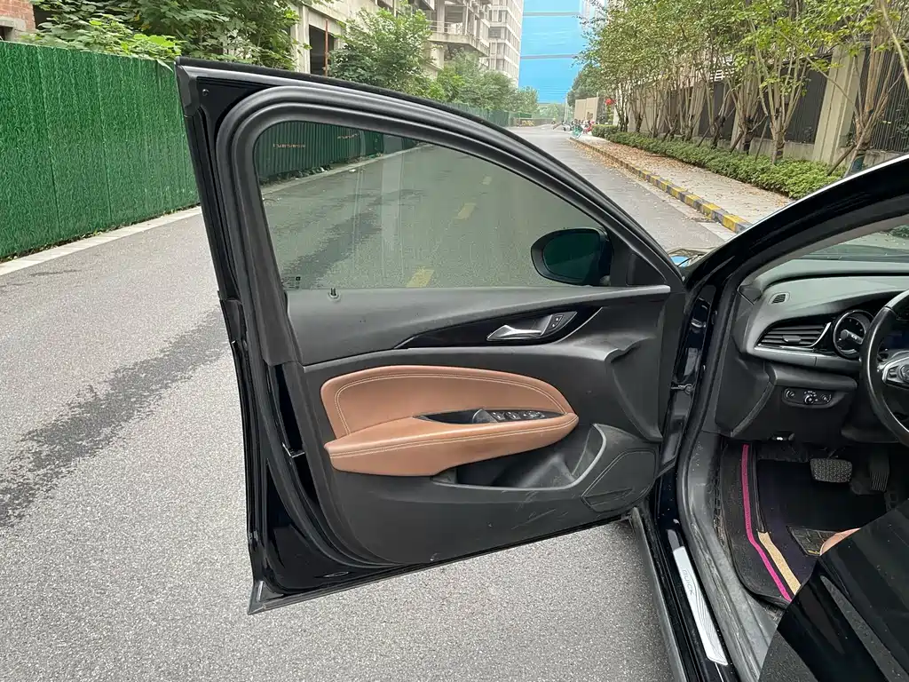 Buick Regal — миниатюра 13