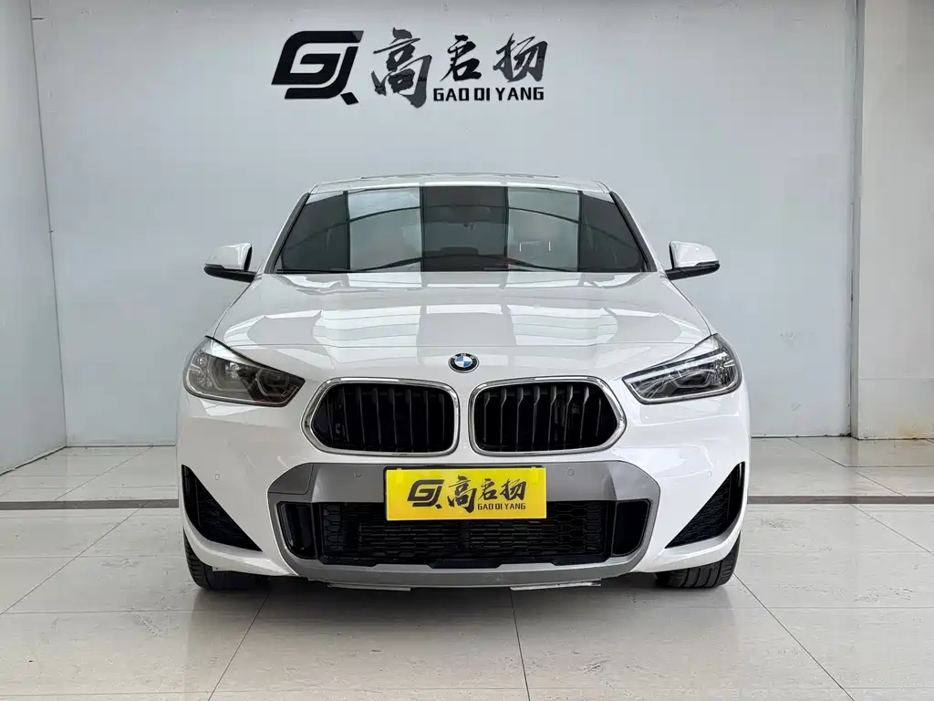 BMW X2 — миниатюра 2