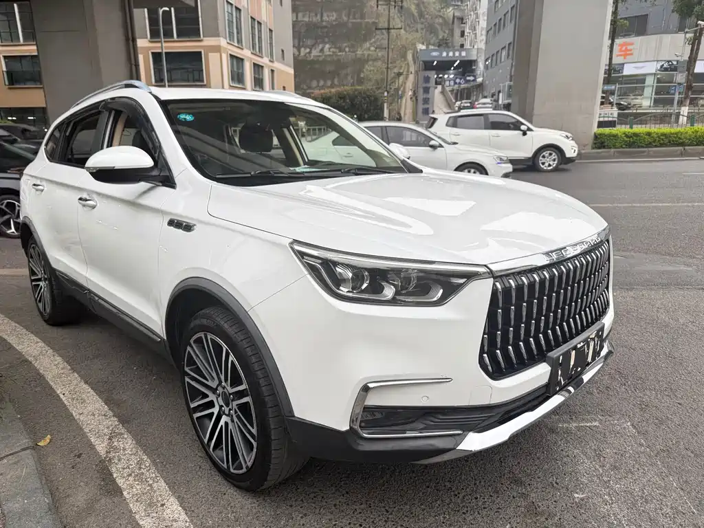 Leopaard Mattu — миниатюра 2