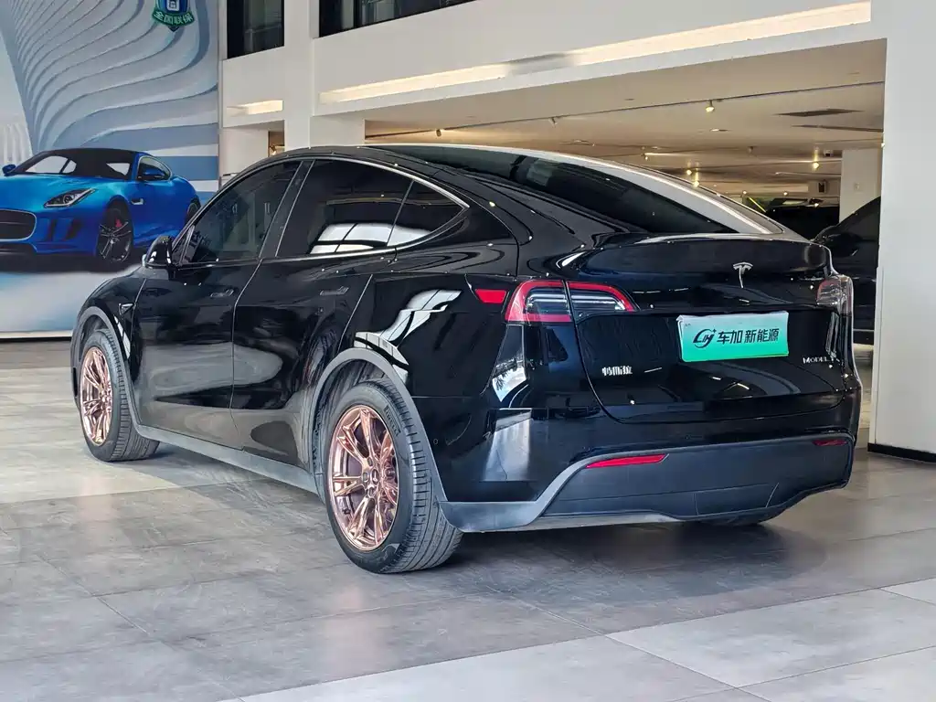 Tesla Model Y — миниатюра 8