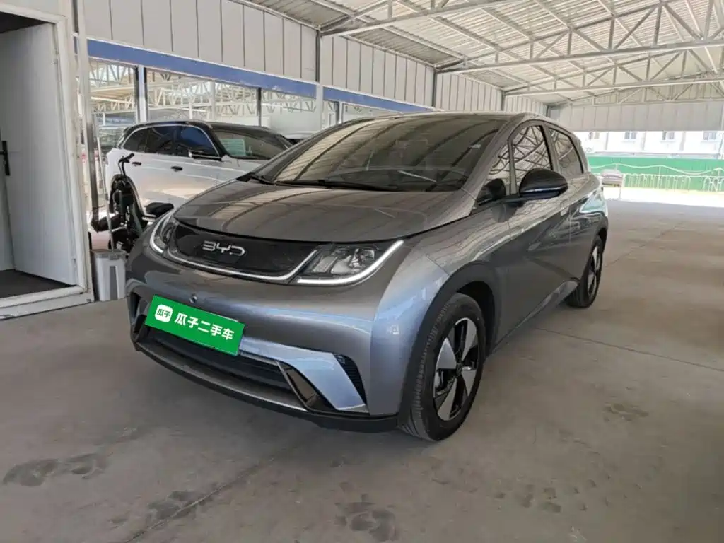 BYD Dolphin 2023 420km Free Edition