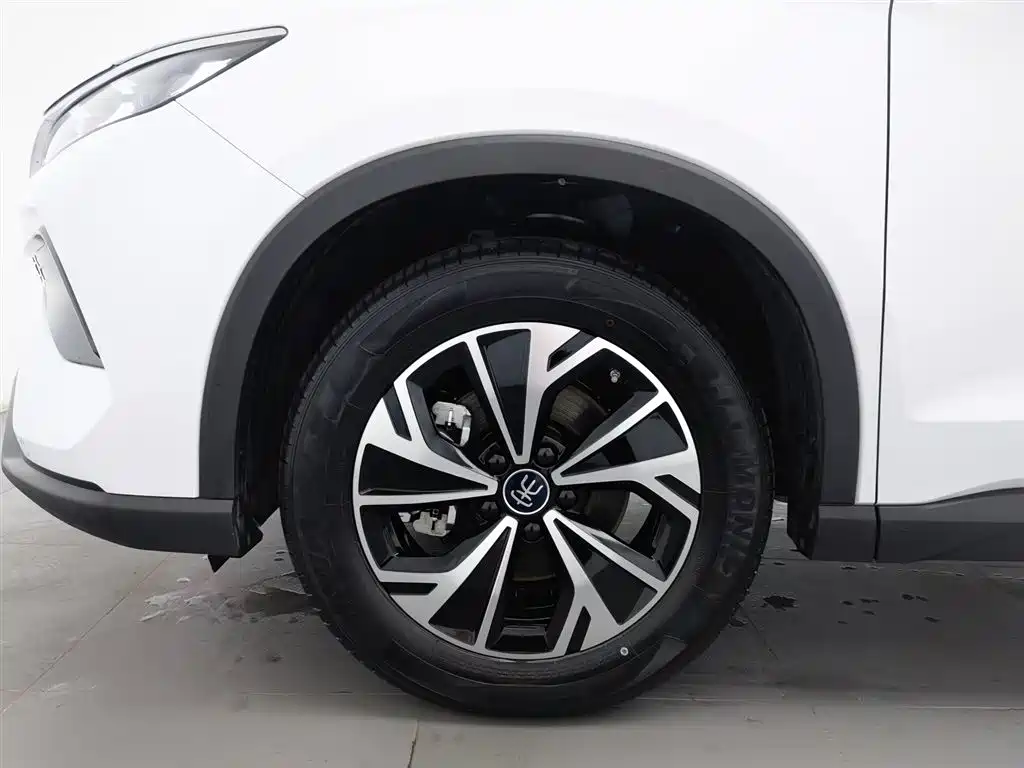 BYD SONGJIANG NEW ENERGY