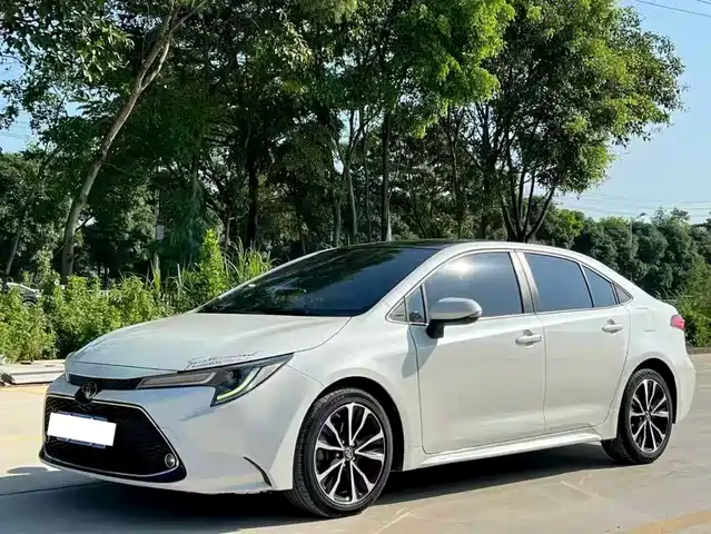 TOYOTA LEI LING 2020