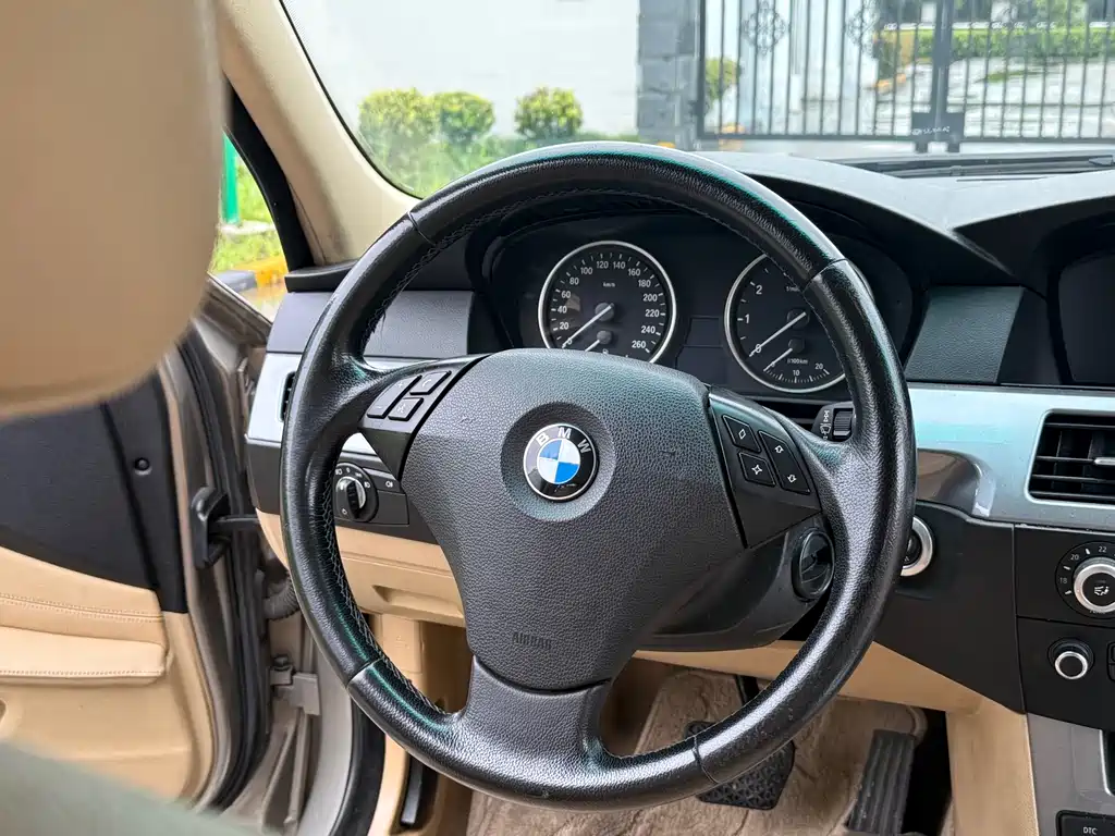 BMW 5 Series 5 2009 523Li