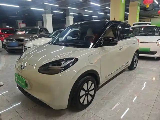2024 Wuling Motors Binguo