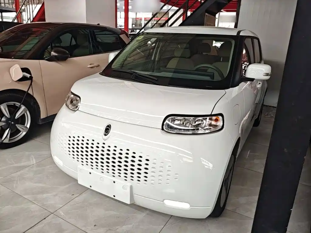 ORA White Cat 2020 360km Luxury Type