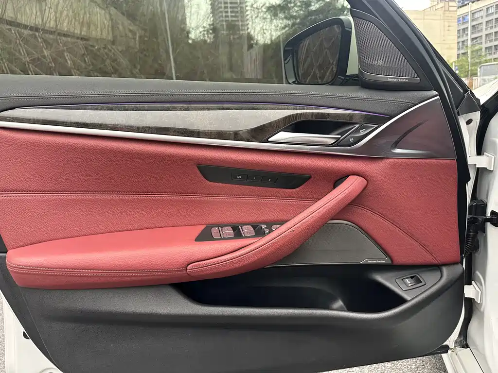 BMW 5 Series 5 2020 530Li Premium M Sport