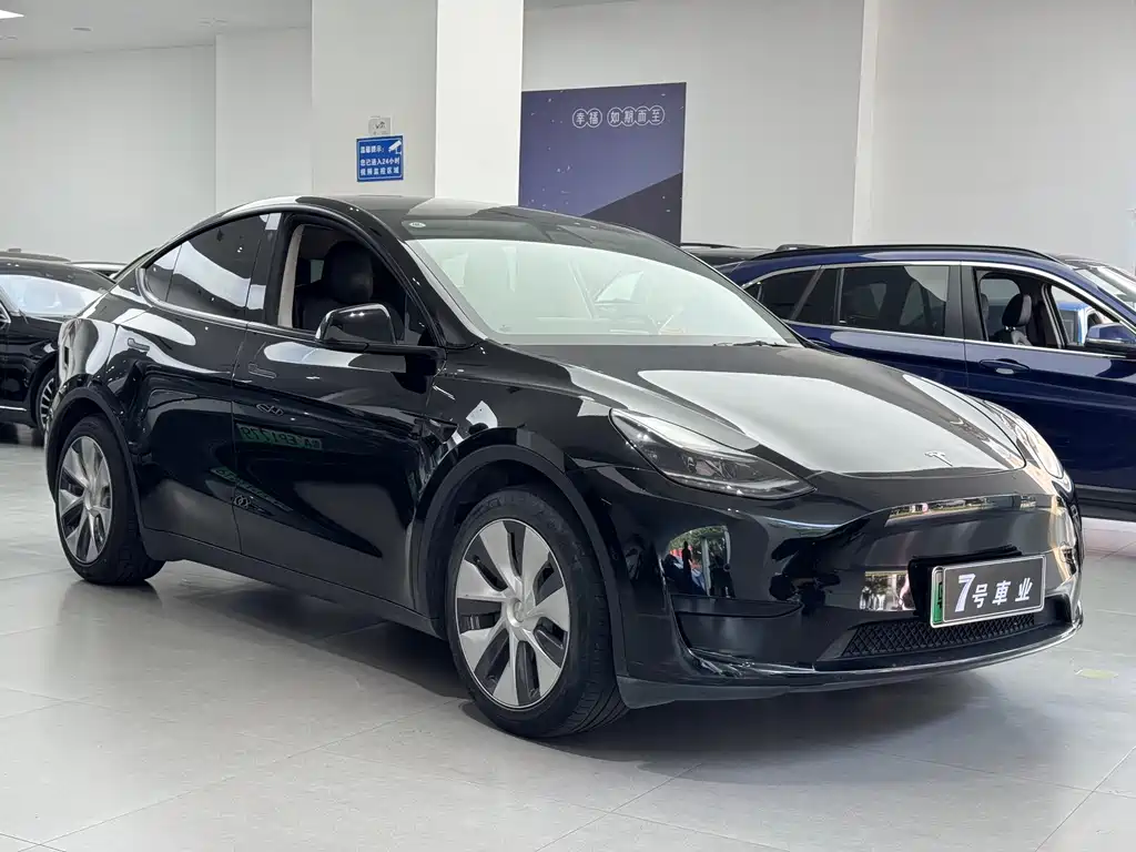 Tesla Model Y — миниатюра 5