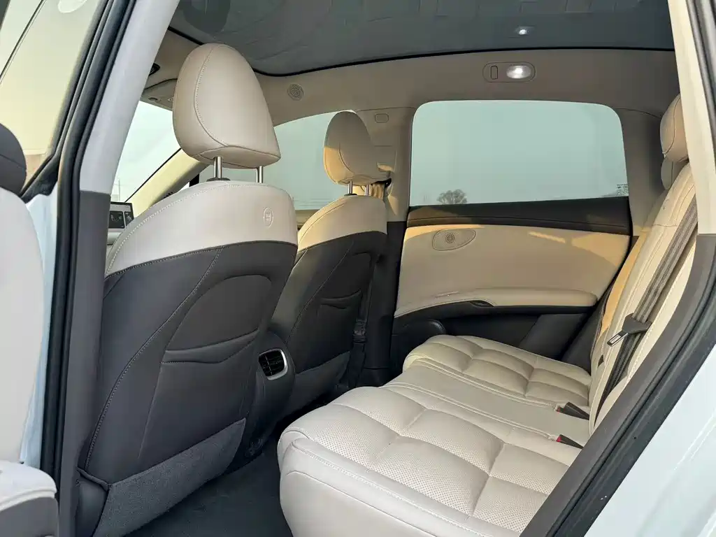 ZHIJI AUTOMOBILE ZHIJI LS6