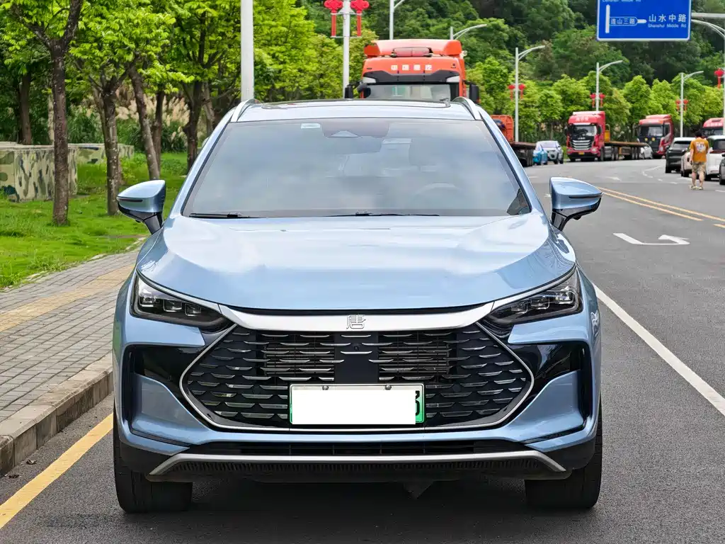 BYD Tang New Energy - фото 2