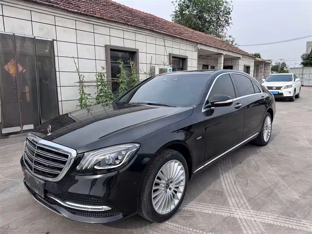 Mercedes-Benz S-Class 2020 S 350 L Business Type Treasure Edition