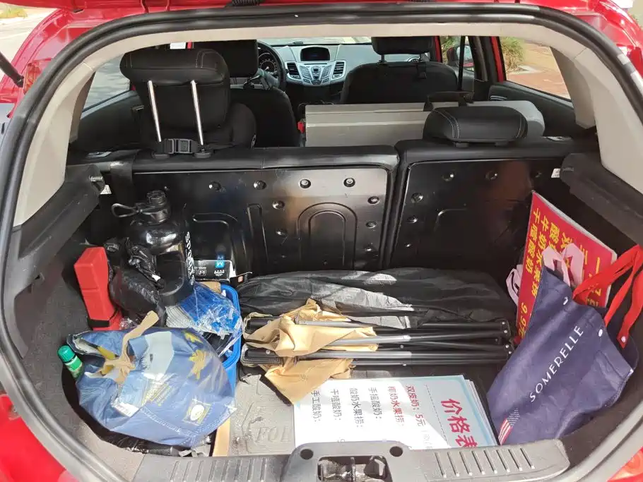 Ford Fiesta — миниатюра 4