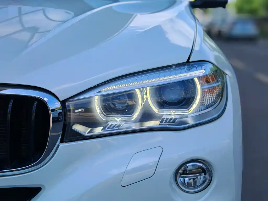 BMW X6 xDrive35i Leading Type, фото 10