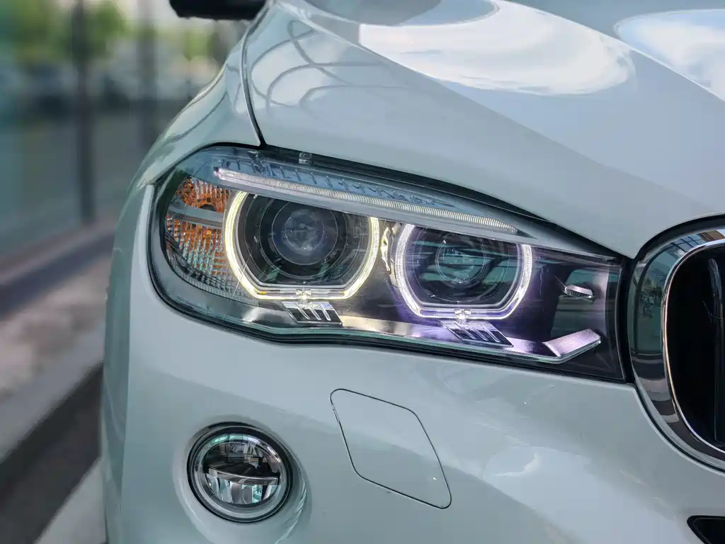 BMW X6 xDrive35i Leading Type, фото 9
