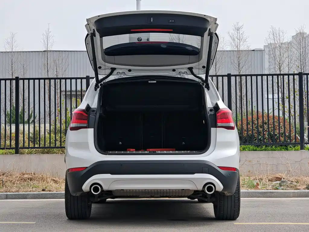 BMW X1 2022 sDrive25Li Lead