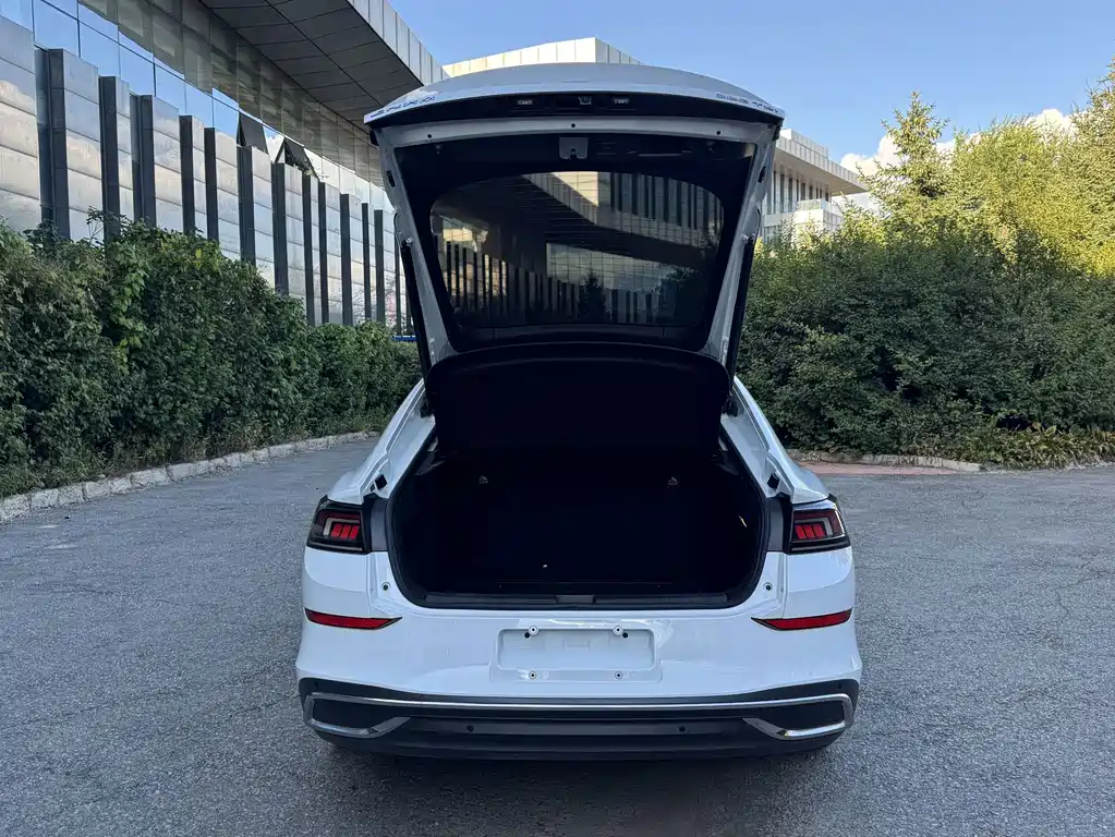Volkswagen Lamando — миниатюра 7