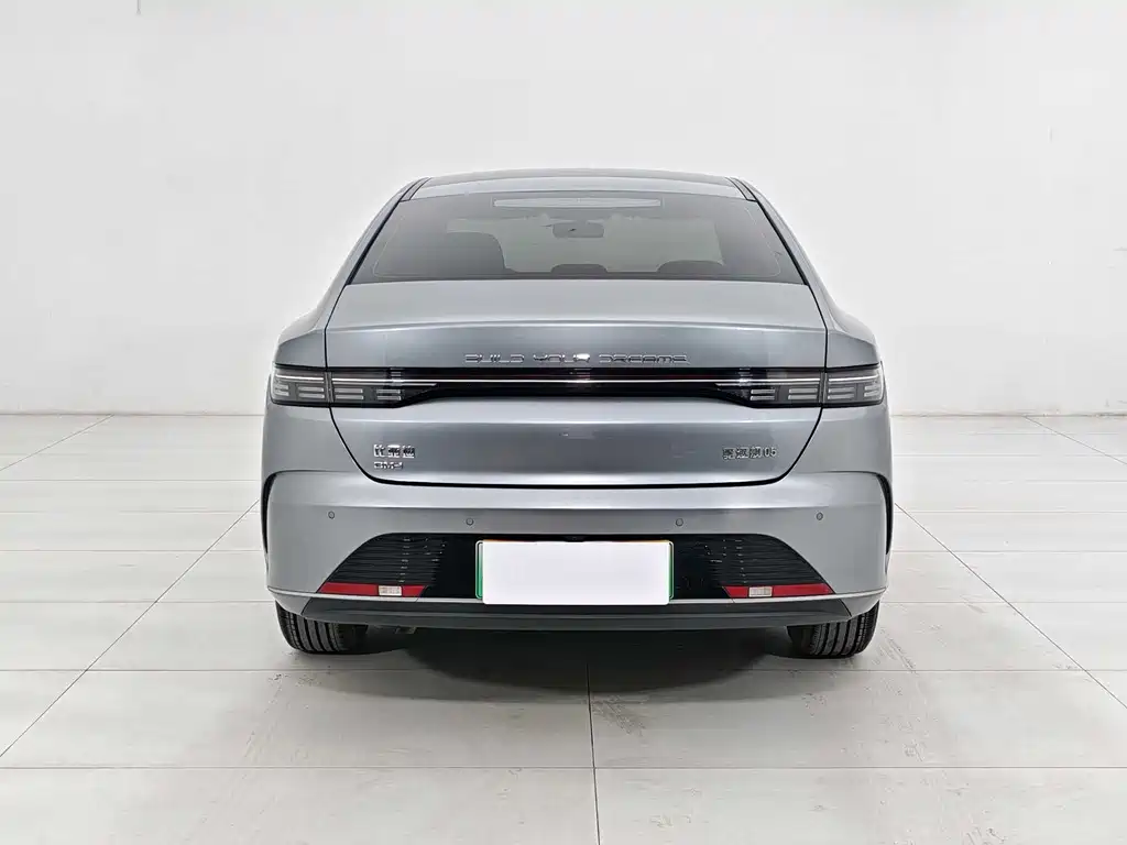 BYD Destroyer 05 2024 DM-i 55KM Luxury