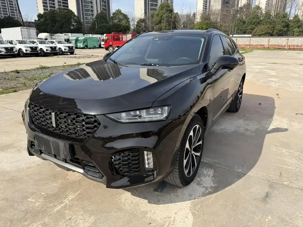 Купить Wey Wey VV7