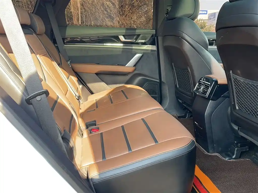 BYD Tang DM - фото 24