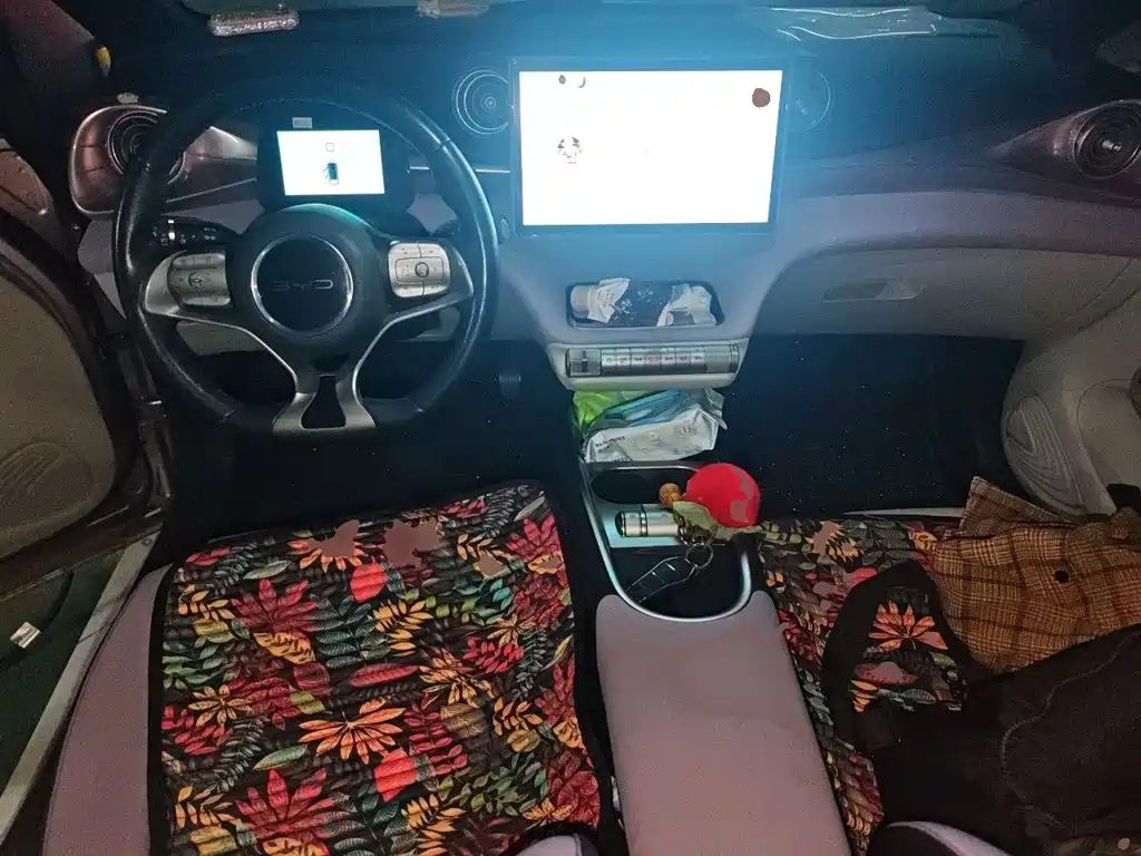 BYD Dolphin — миниатюра 5